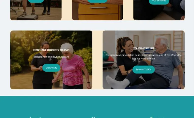 Vida Physiotherapy pricing and terms blocks on desktop